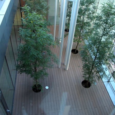 Verwaltungsgebäude_Dachanlage, Balk., Laufgang_Büros