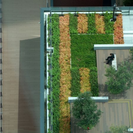 Kaufmännische Gebäude_Terrasse Gewerbliche Nutzung_Vorzeigeprojekte - WPC holz 